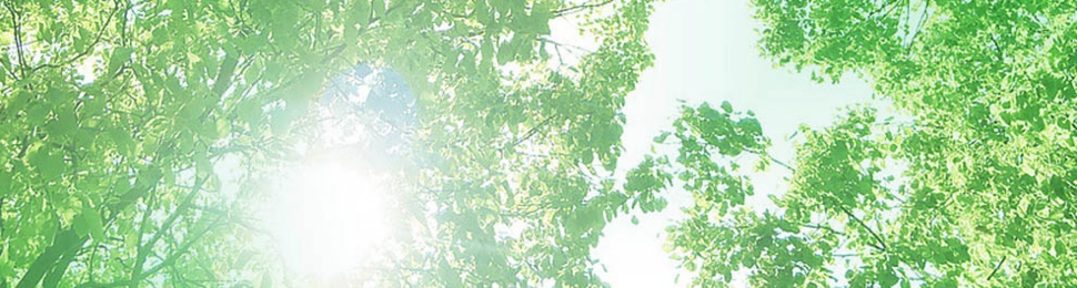 green_top1.jpg